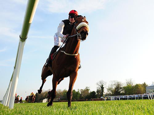 Forgotten Rules and Robbie McNamara in splendid isolation