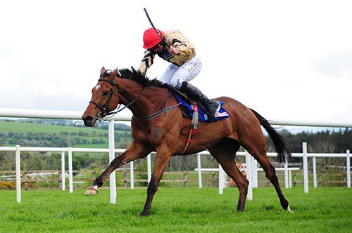 Shaneshill and Jamie Codd