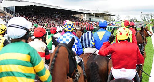 Runners walk towards the starter - winner Mallowney is centre in blue/yellow