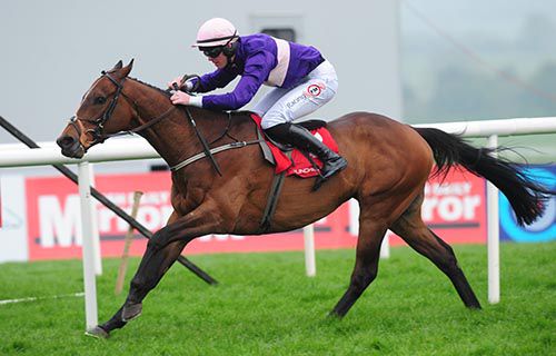 High Stratos and Robbie McNamara