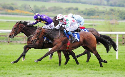 Morning Run sticks her willing neck out for Patrick Mullins to hold off Carrigmoorna Rock and 'Corky' Carroll