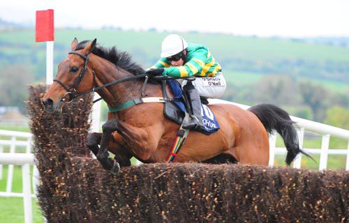 On The Fringe lines up in the Hunters Chase 