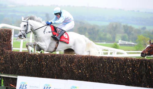 Chartreux and Tom Sudamore jumping the last