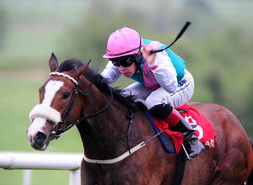 Tested and Leigh Roche winning for trainer Dermot Weld 