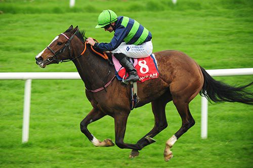 Namurian Sunset and Fergal Lynch win for trainer Patrick Prendergast 