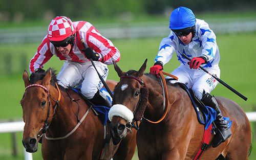 Allez Vic (left) and Vasco Du Mee