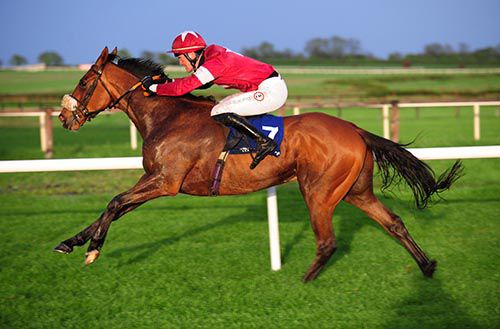 Marinero and Robbie McNamara