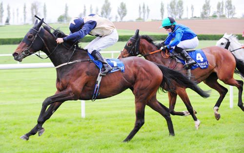 Newellen and Niall McCullagh win the Tipperary Perpetual Cup 