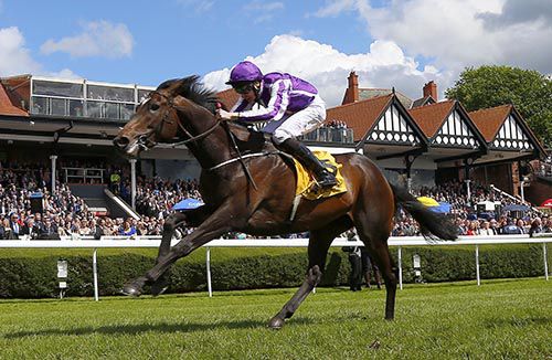 Kingfisher and Joseph O'Brien winning The Betfair Cash Out Dee Stakes