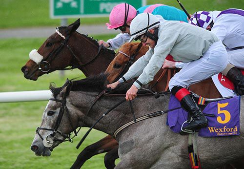 Backdrop (Pat Smullen) just holds Nancy Rose ('Dusty' Foley nearside) with Focas Mor in between