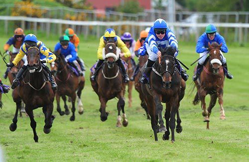 A fine shot of Storm Away and Paul Power dominating the field at Wexford
