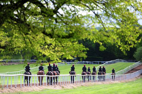Ballydoyle