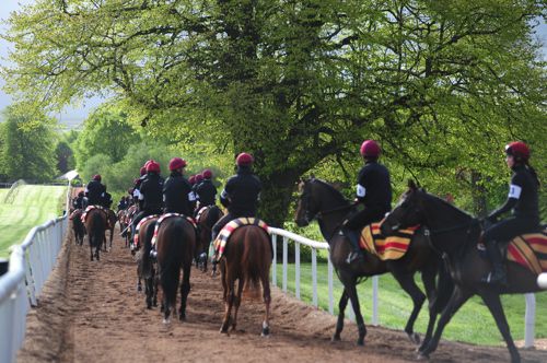 Morning work in Ballydoyle
