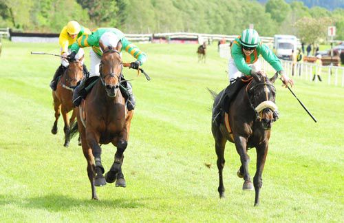 The Crafty Butcher, right, gets up to win in Killarney