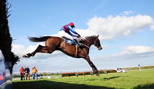 Followmeuptocarlow pictured on his way to victory at Tipperary earlier in the year