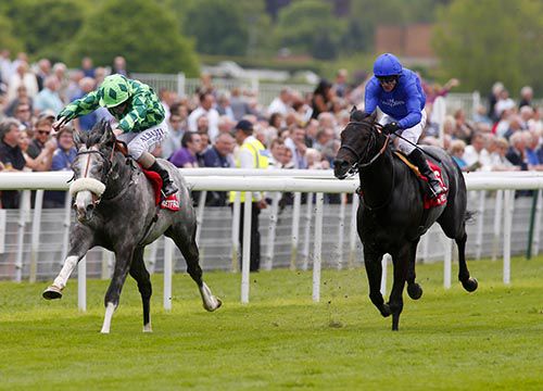 The Grey Gatsby (left) winning the Betfred Dante Stakes, with True Story (third) also pictured