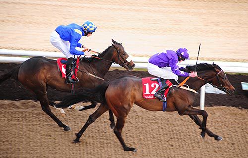 Caliso Bay and Connor King get the better of Jackie Ellis and Joseph O'Brien 