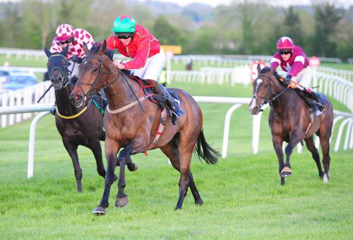 Gone Platinum stylishly wins the bumper