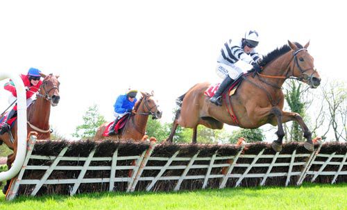 Abolitionist jumps the last under Brian Hayes 