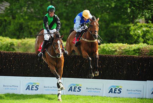 Steps To Freedom clears the last in front, but he is eventually beaten by Howwoulduno (right)