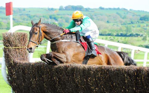Knockanarrigan jumps the last under Mark Enright