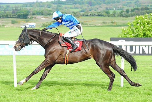 Mr Diablo pictured on his way to victory at Punchestown in 2014