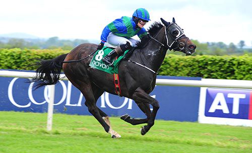 Above The Law is driven out by Christina Simpson