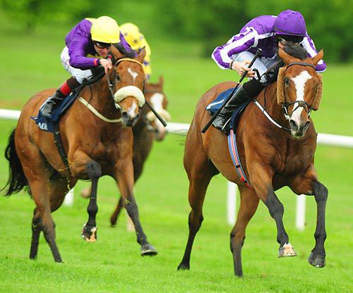 Leading Light (right) is driven out by Joseph O'Brien, with eventual third Pale Mimosa also pictured
