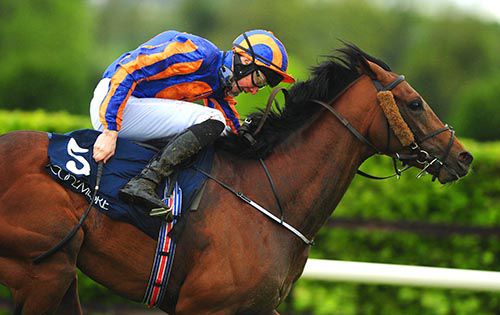 John Constable pictured on his way to victory at Navan in 2014