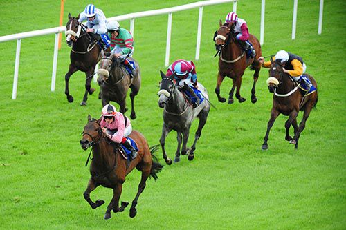 Toe The Line goes clear of her field under Fran Berry at Roscommon