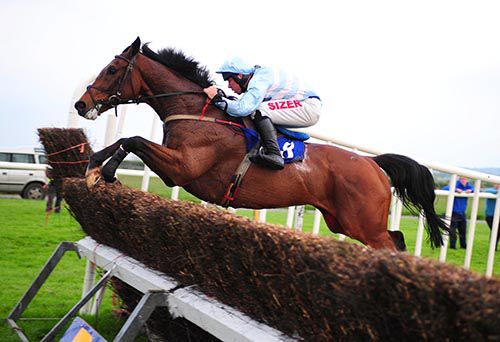 Sadler's Risk and Andrew Lynch take the last in style