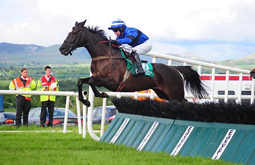 Andrew Thornton gets another fine leap out of Kindly Vinnie at the last