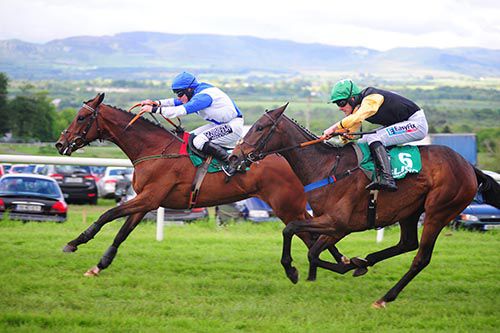 Who Let De Dogsout (Phillip Enright) holds on from Shantou Flyer (Andrew McNamara) in the third at Sligo