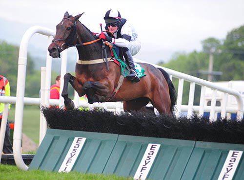 Lady Olwyn and Ger Fox stylishly clear the last