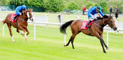 Little Sweetheart (Danny Grant) races on from Shinyhappyjohn