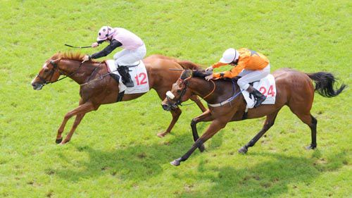 Great Minds and Wayne Lordan beat Dashwood 