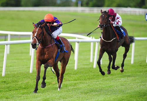 Massini's Trap and Fran Berry are clear from the Seamie Heffernan partnered Hurricane Jojo