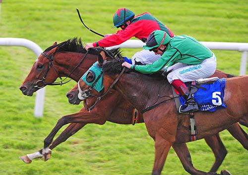 Killourney Empress and Wayne Lordan fend off Diamond Daze