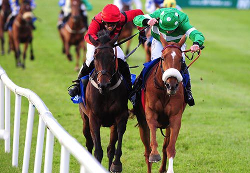 Bell Walks Day (Jamie Codd, right) fends off Hello Sweetie (Gerry Mangan)