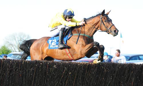 A lovely shot of Danny Mullins and Sammy Black