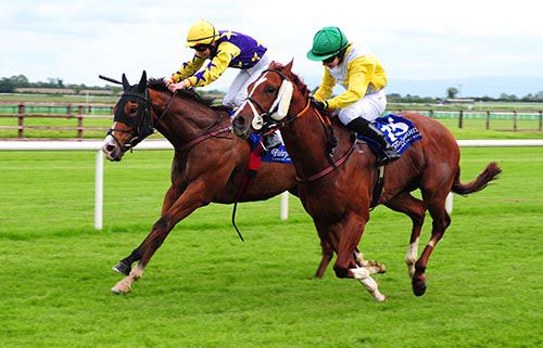 Lily's Prince (left) and Pixie Spirit