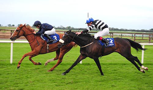 Circling holds on from Sierra Sun