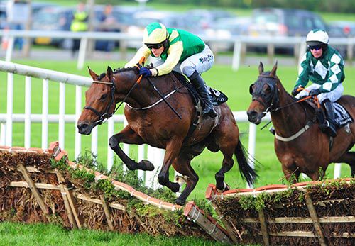 Valley Of Stars and Andrew McNamara 