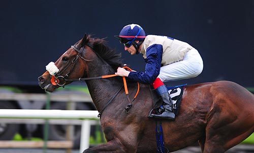 Artful Artist and Fran Berry