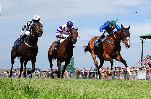 Waydownsouth (right) gets up to beat Lindenhurst (rail) & Kims Dream