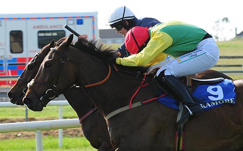 Gusty Rock (far side) just prevails from Sizing Italy