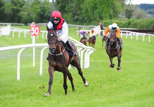 Thats My Rabbit and Stephen Crawford