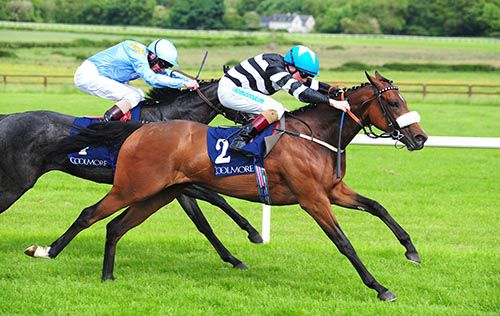 Beach Belle and Chris Hayes win from Realtra