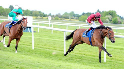 Fog Of War (Colin Keane) stays on too well for Karezak