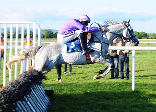 Erlkonig and Danny Mullins in full flow